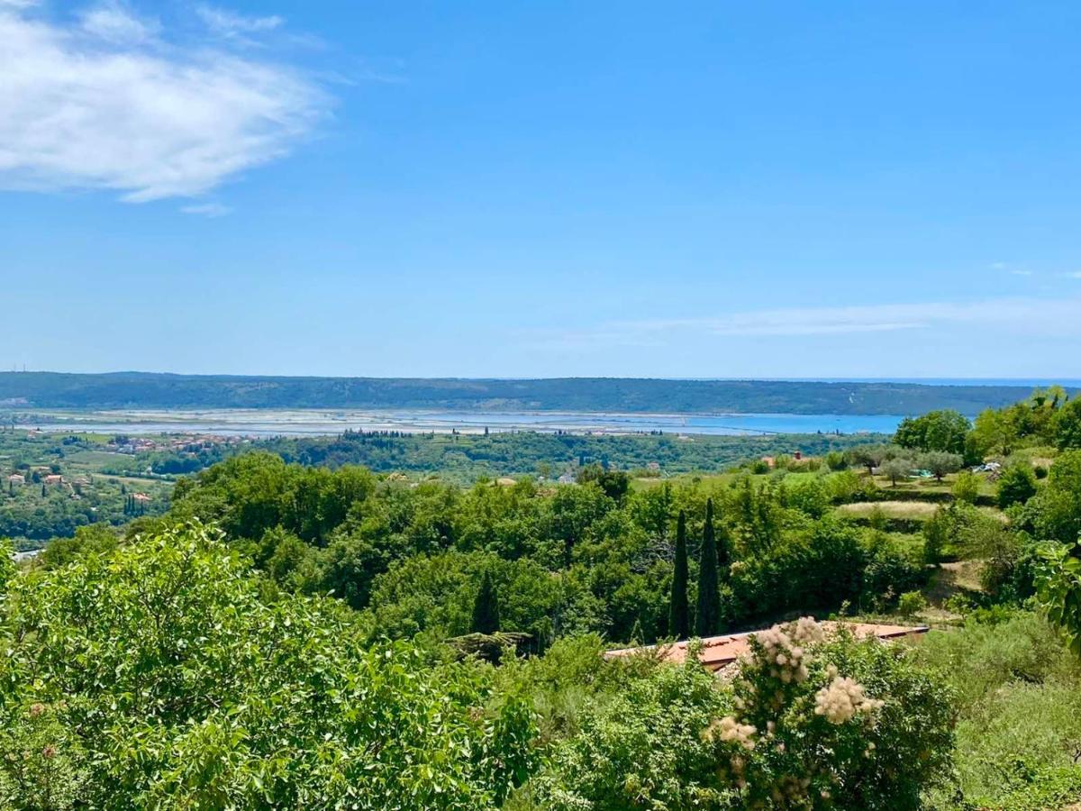 Apartma Hill Portorose Exteriér fotografie